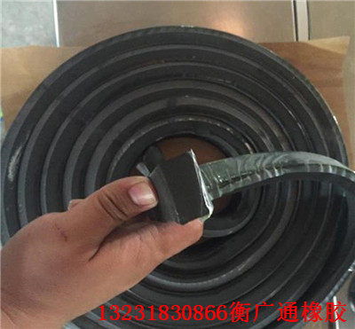 曲靖橡膠止水條 哪里買(mǎi) 曲靖實(shí)業(yè)集團(tuán)